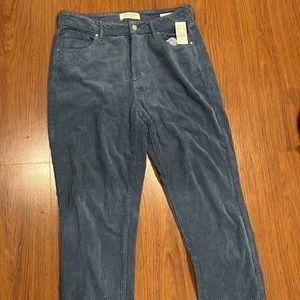 NWT Blue Corduroy Pants